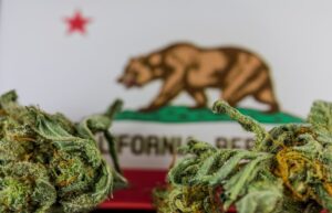 California's Weed Market